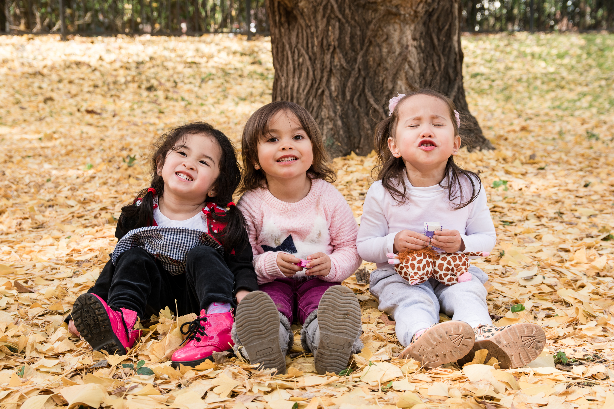 Fall photo sessions of three little girls at Piedmont Park Atlanta